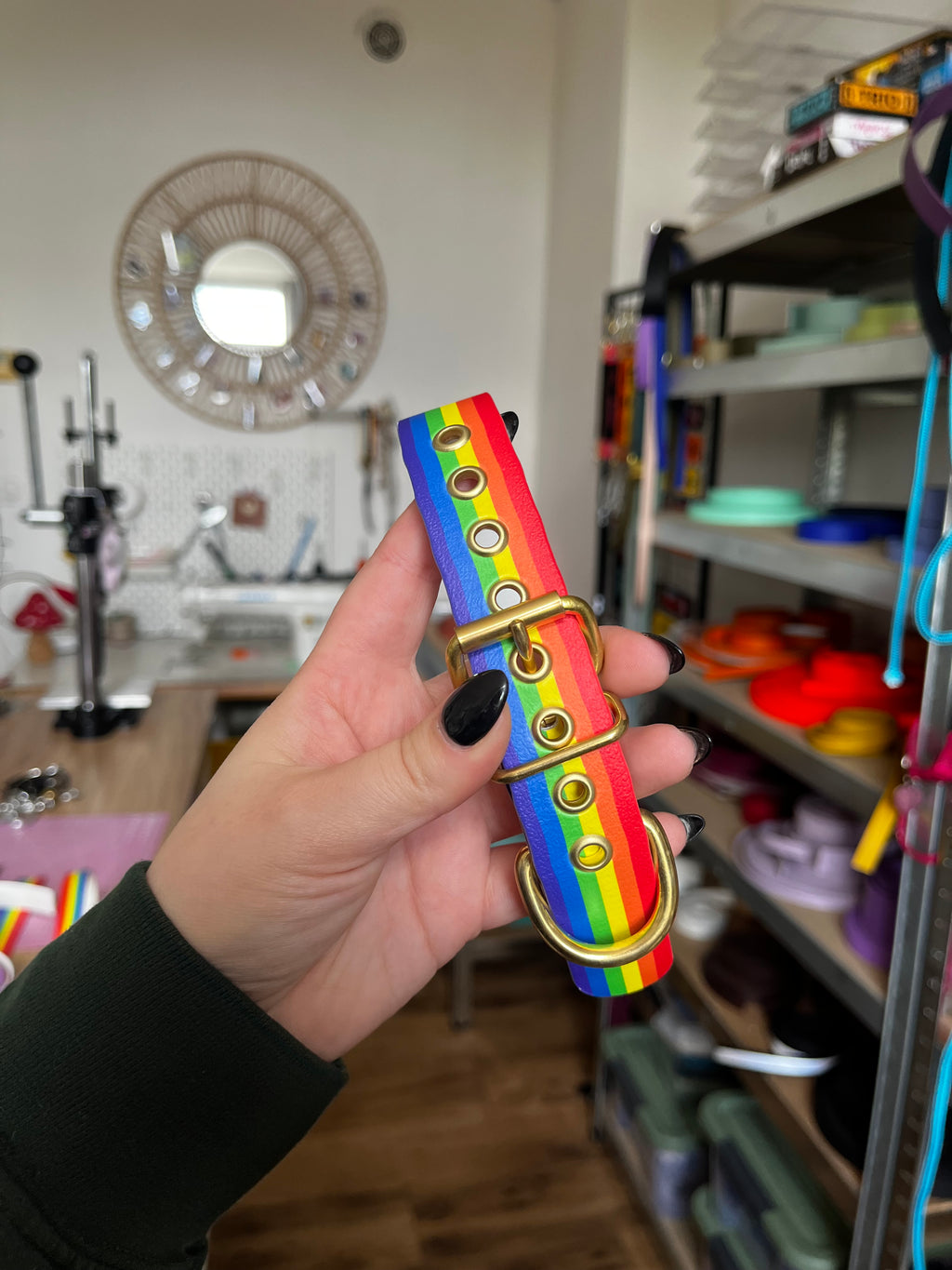 Collier Pride (35 à 45cm)