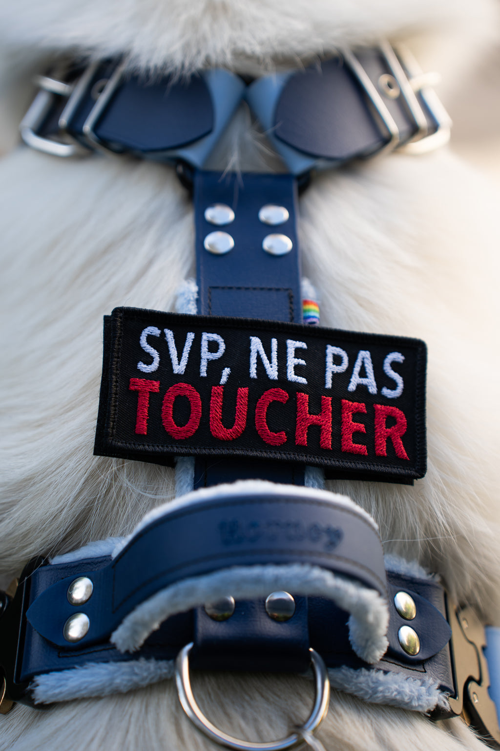 Harnais tout doux 🐑