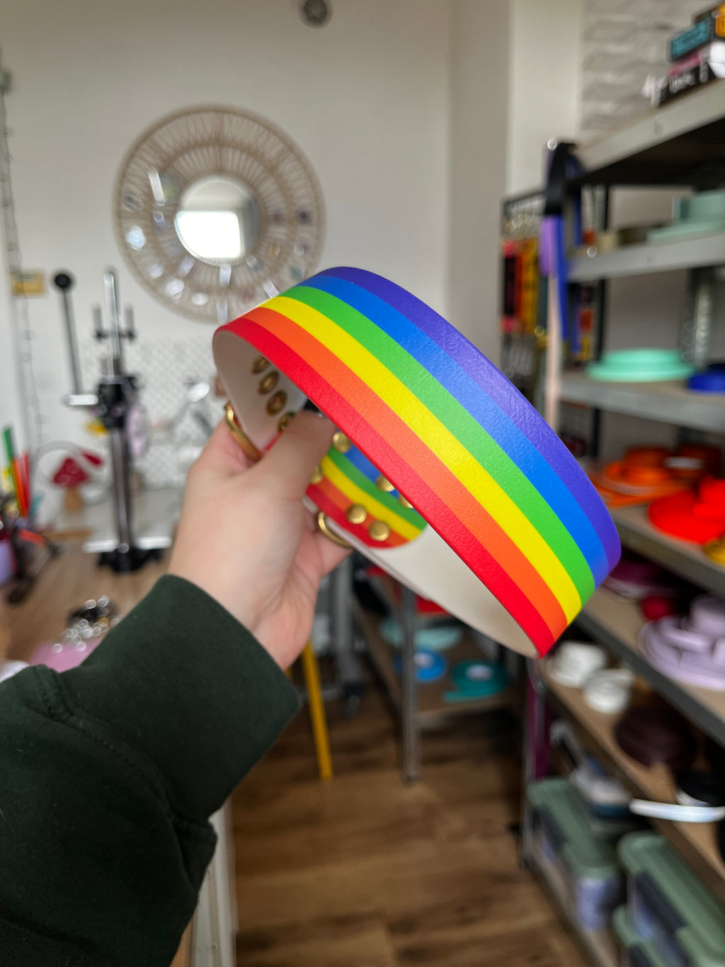 Collier Pride (45 à 55cm)
