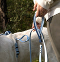 BioThane® Leash