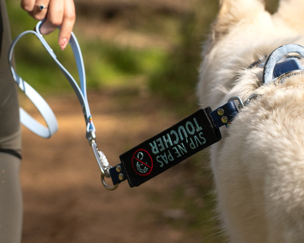 Le pack - Patch'Alerte