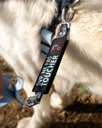 Le pack - Patch'Alerte