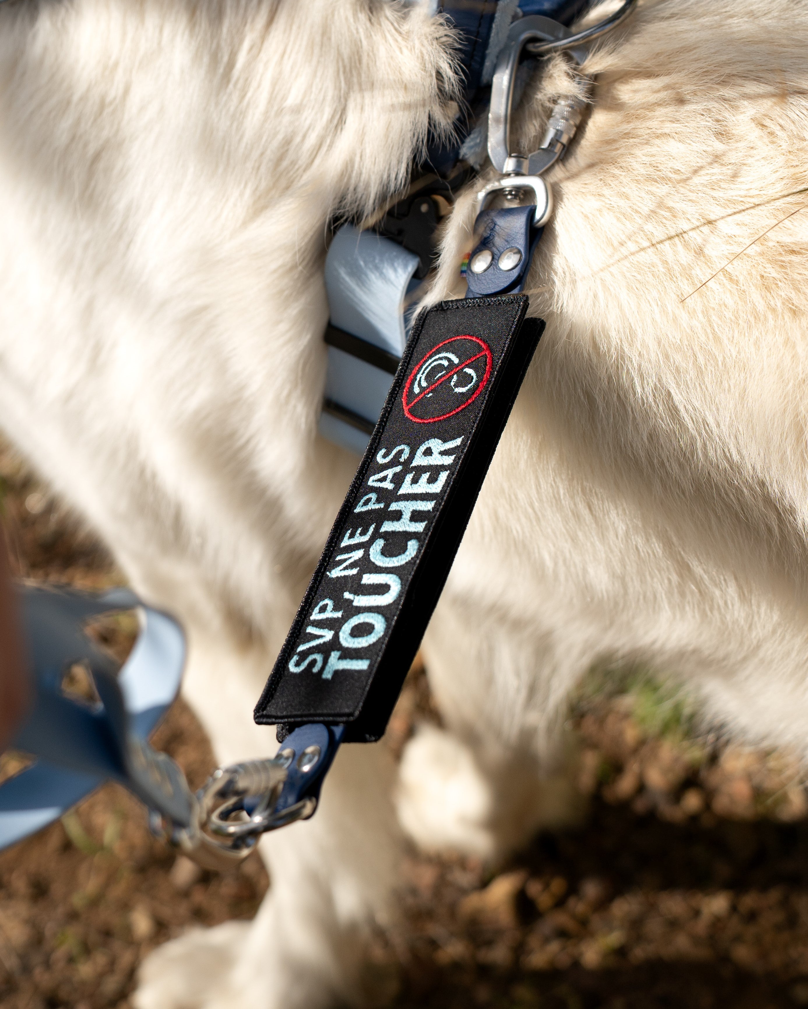 Le pack - Patch'Alerte