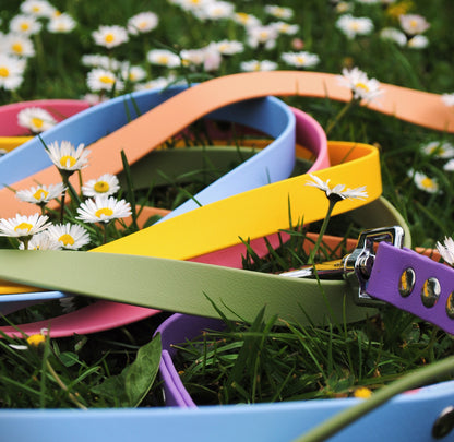 BioThane® Leash