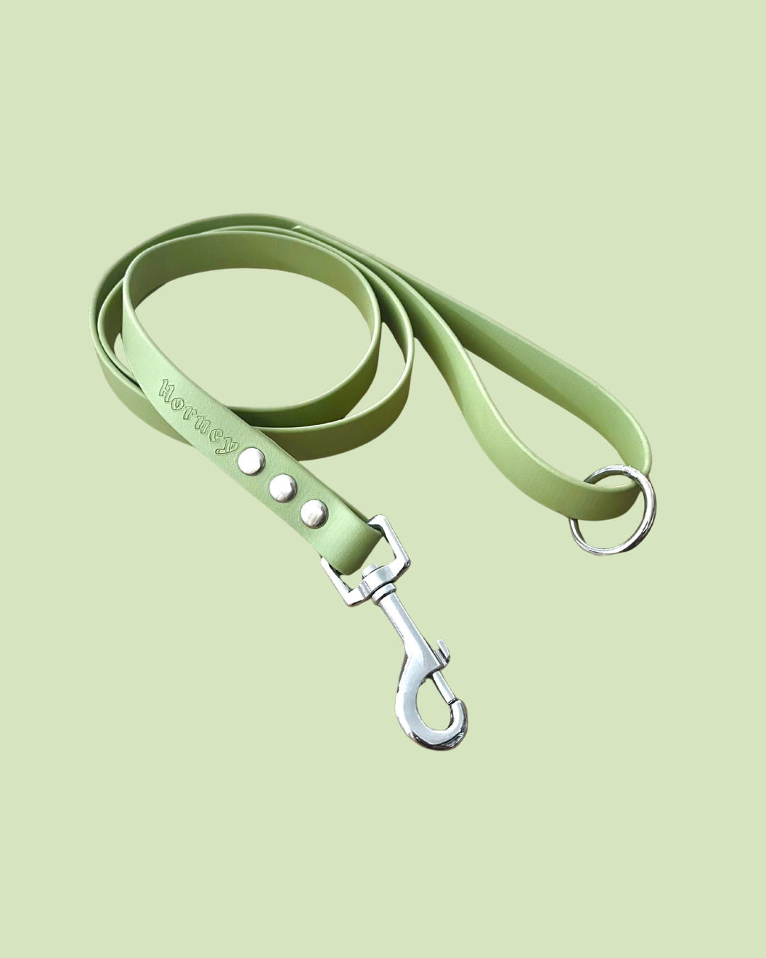 Laisse BioThane®