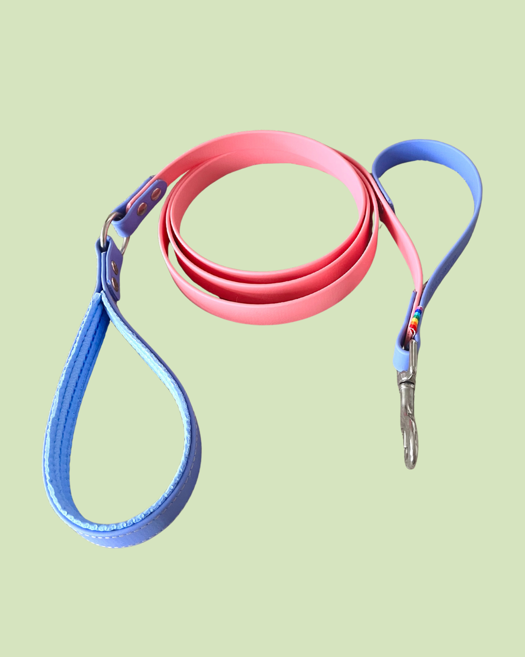 BioThane® Leash