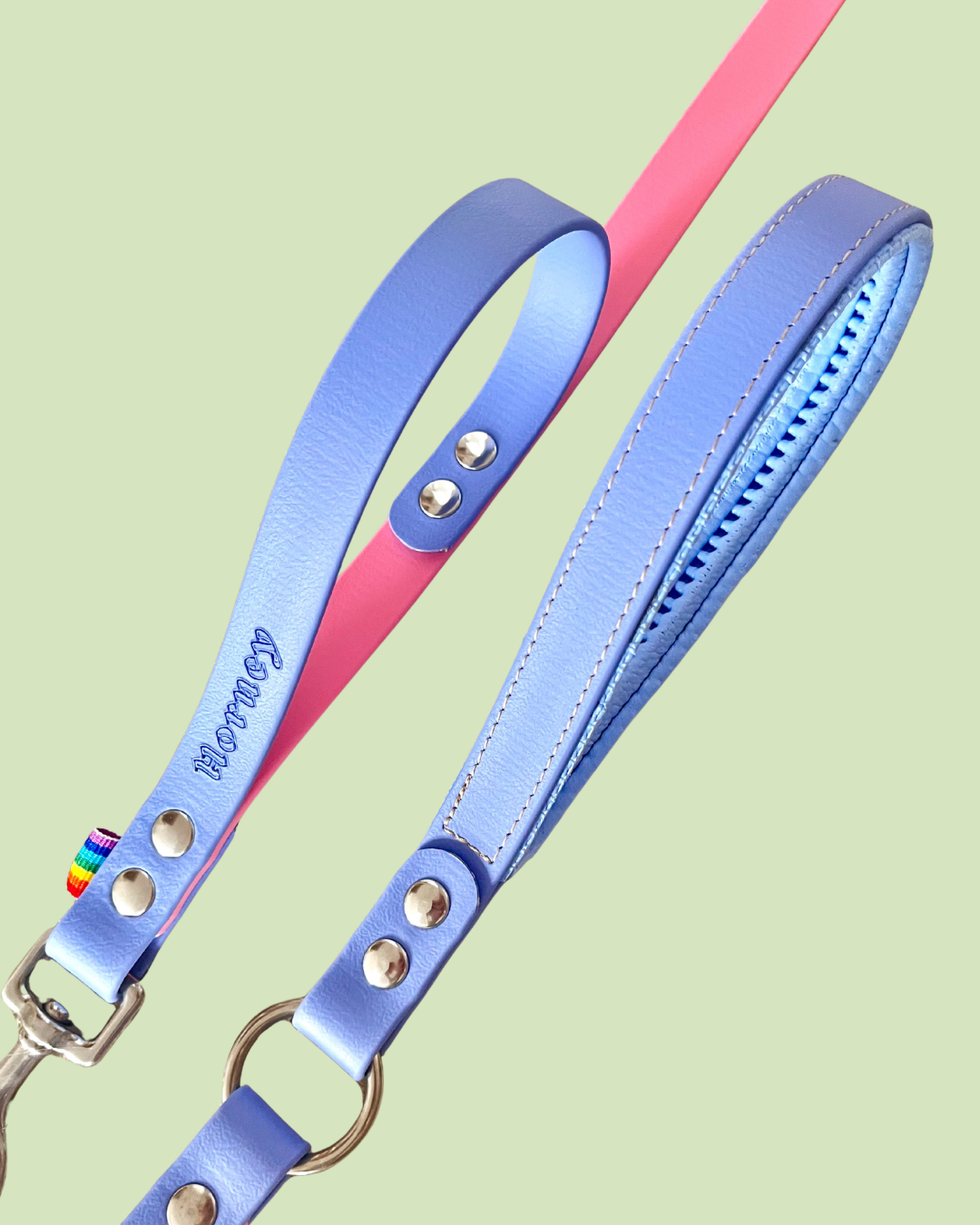 BioThane® Leash