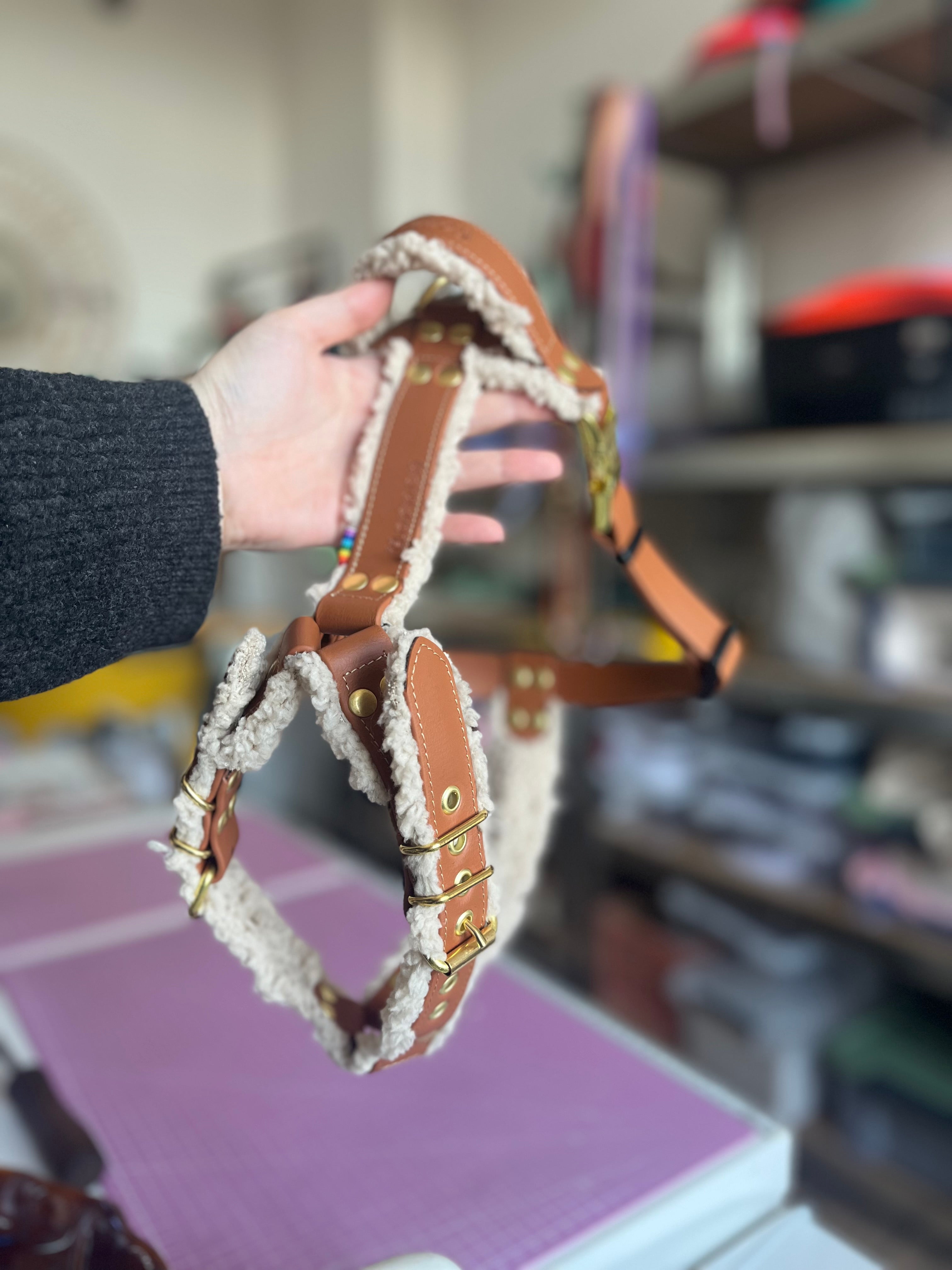 Harnais tout doux 🐑