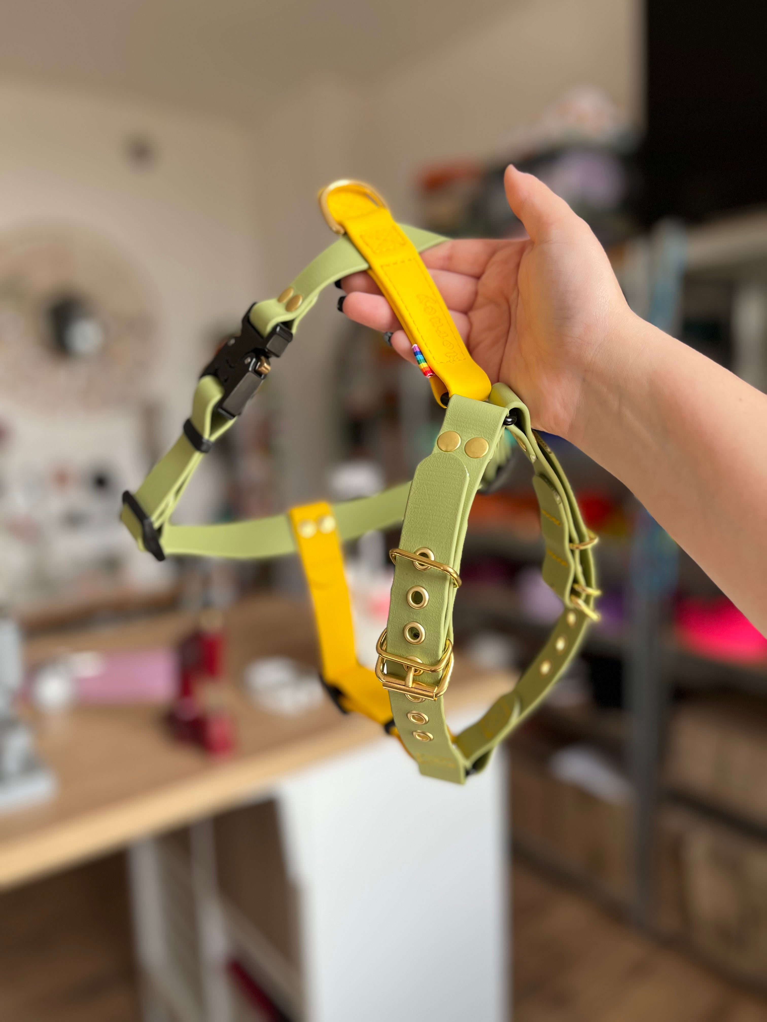 38MM Y-Harness