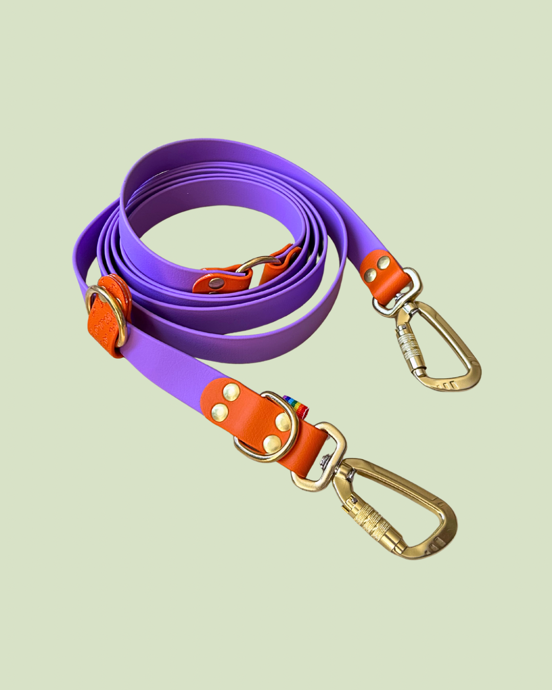 Laisse multi-position bicolore BioThane®