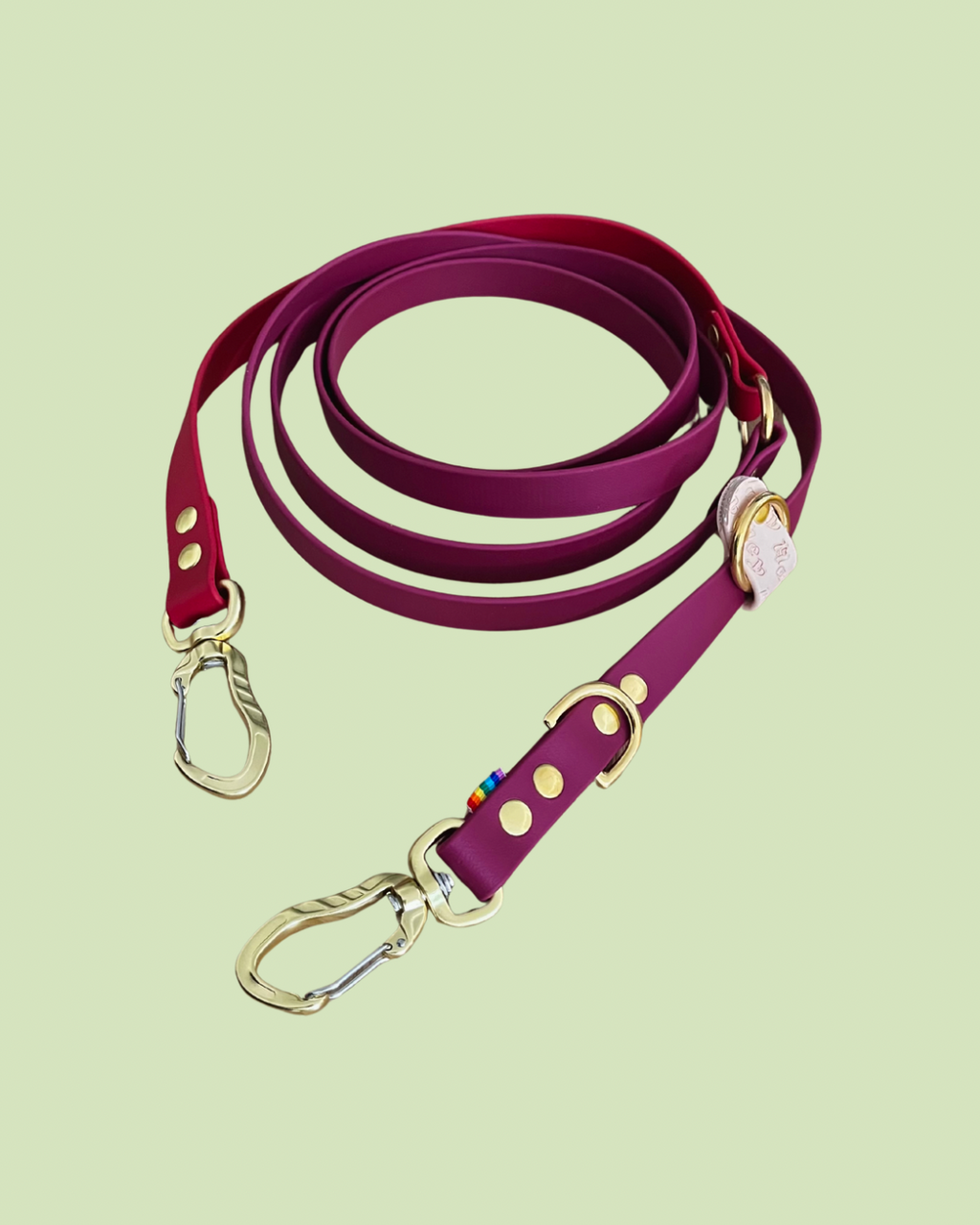 BioThane® Two-Tone Multi-Position Leash