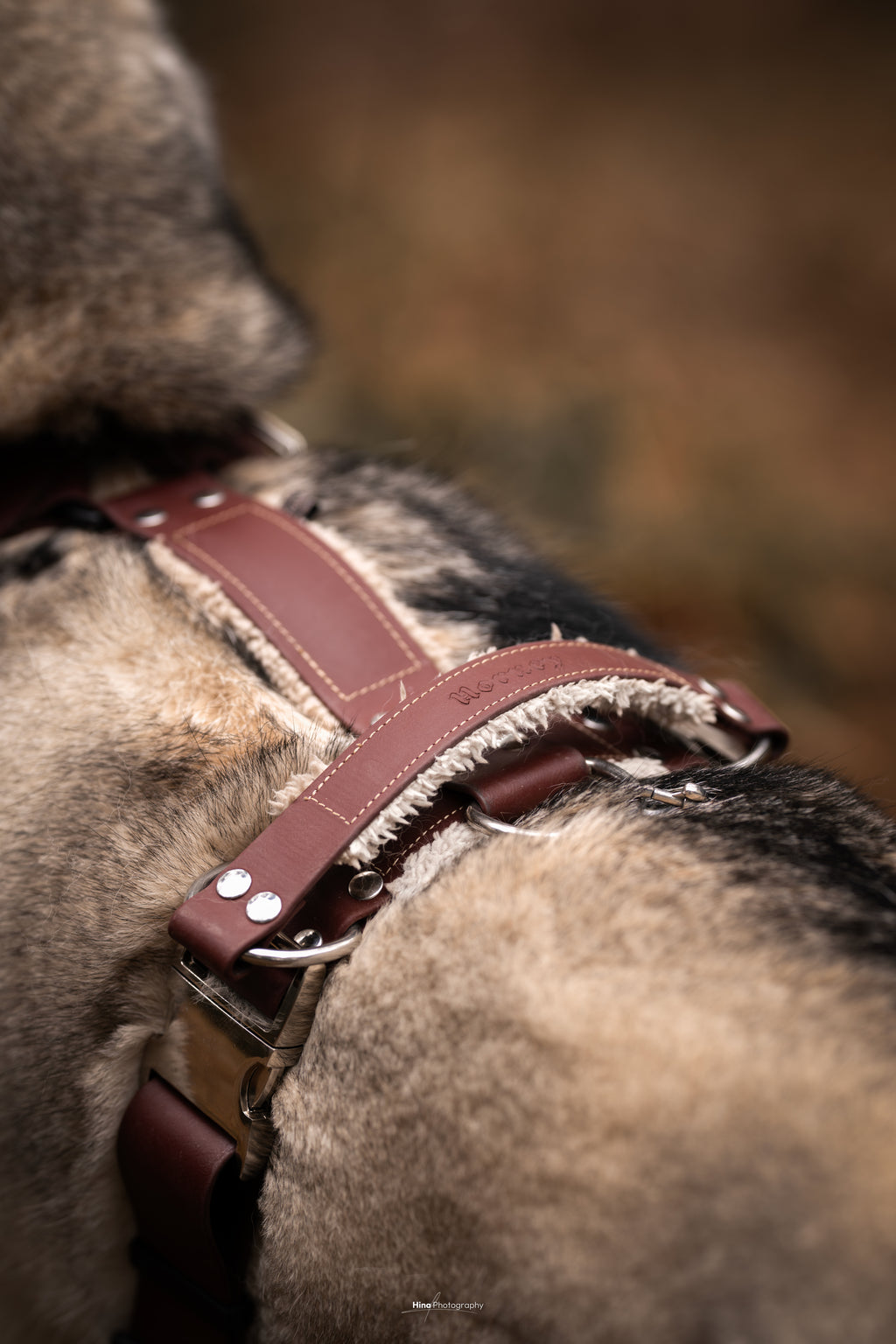 Harnais tout doux 🐑