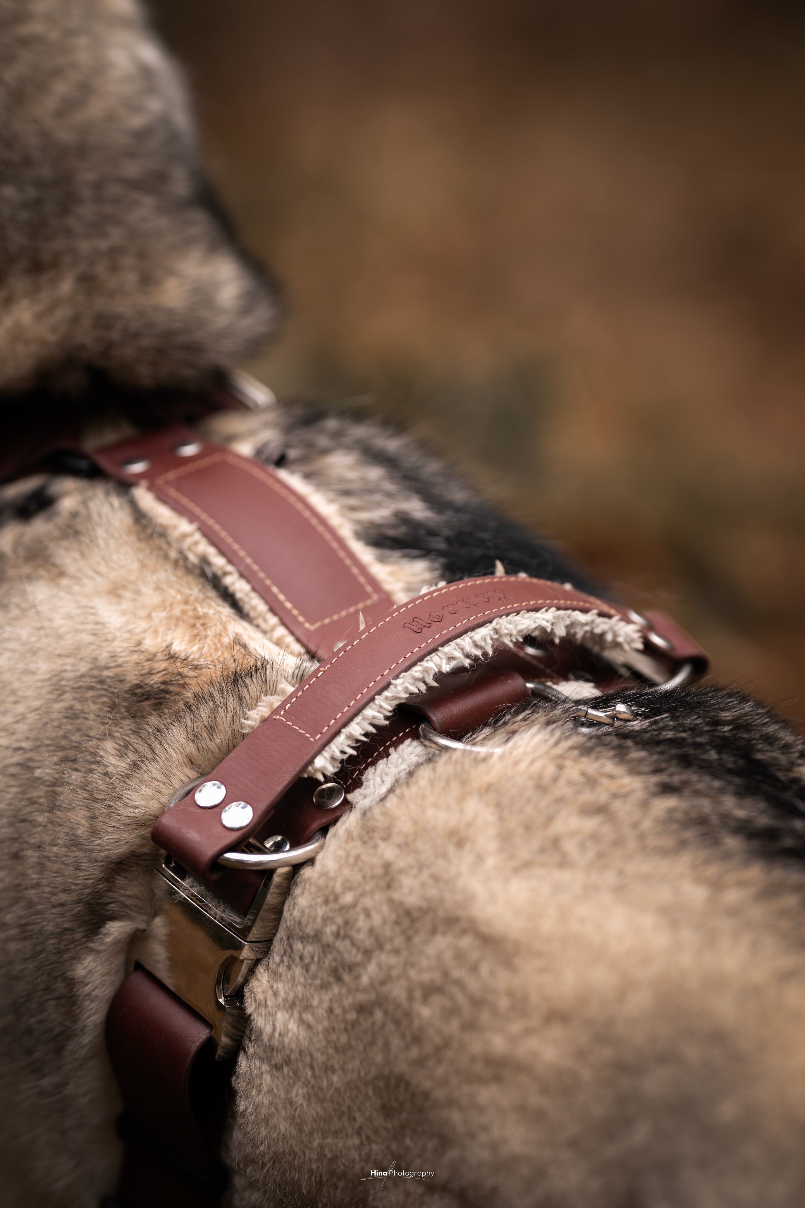 Harnais tout doux 🐑