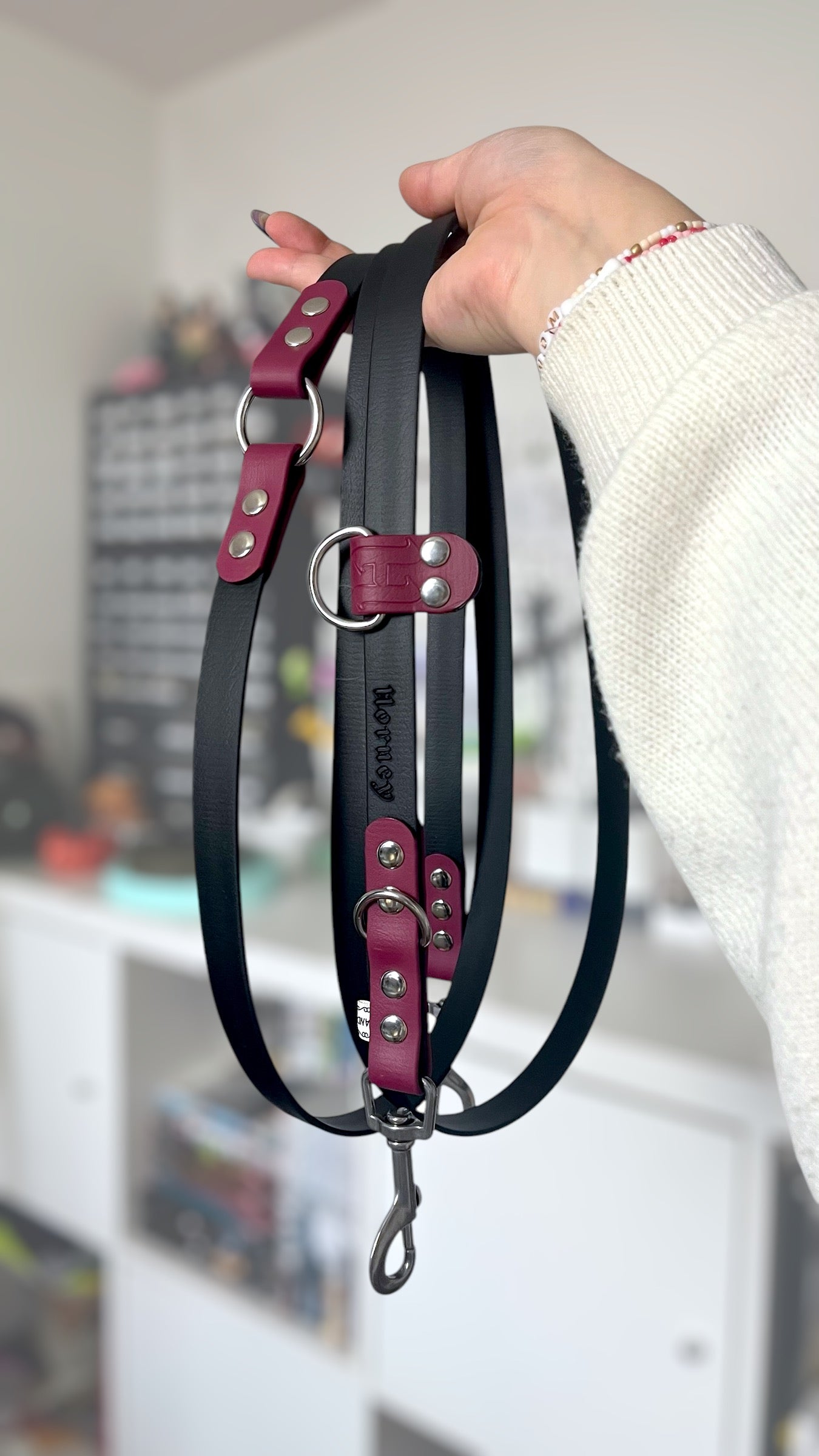 BioThane® Two-Tone Multi-Position Leash