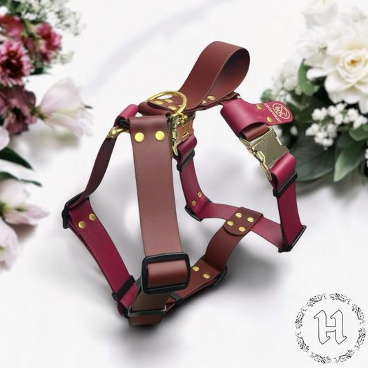 38MM Y-Harness