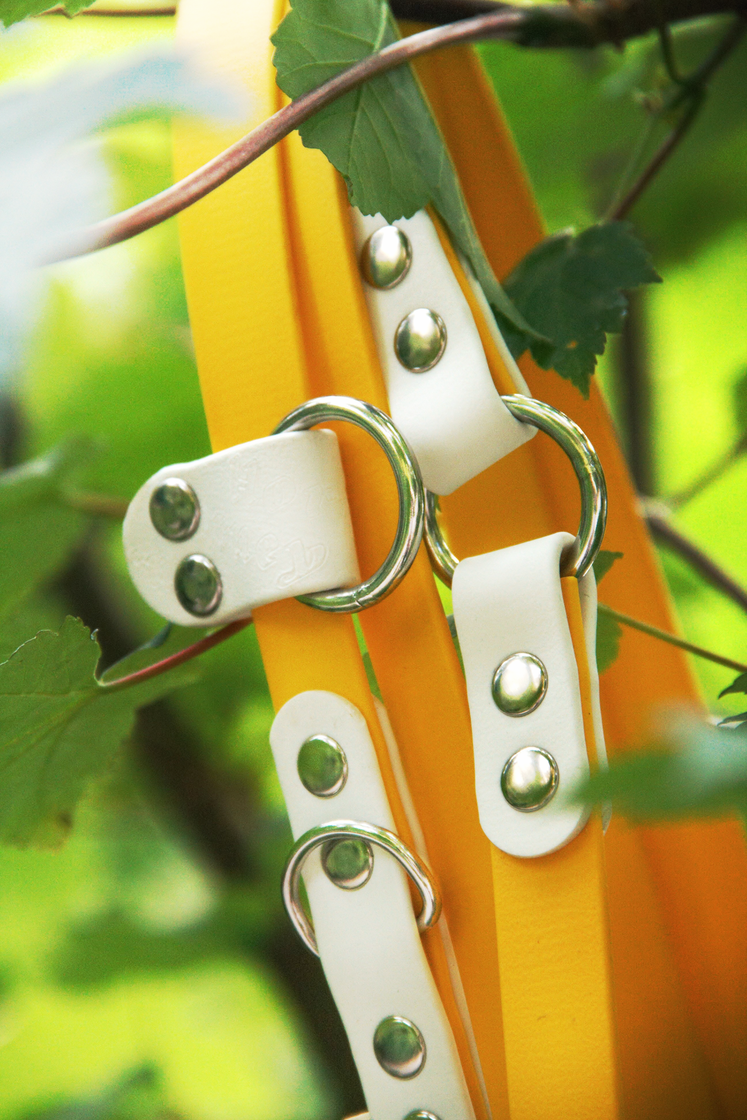 BioThane® Two-Tone Multi-Position Leash