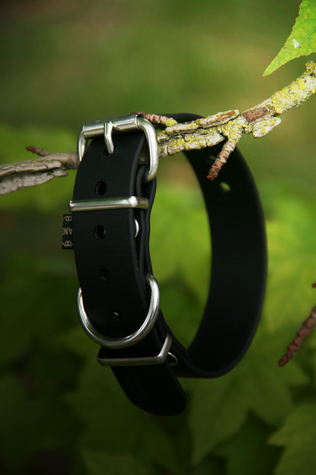 Collier BioThane® chiot