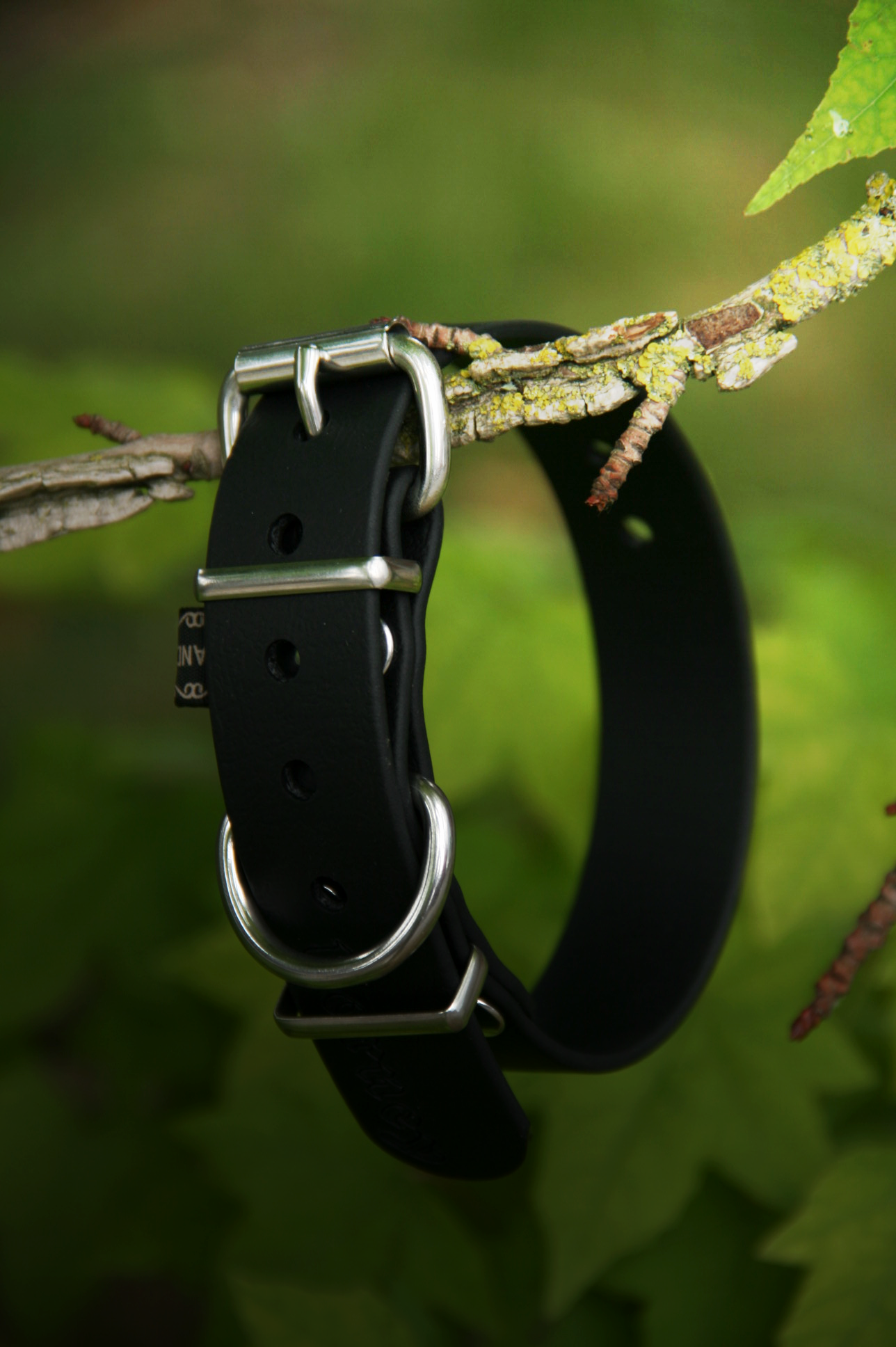 Collier BioThane® chiot