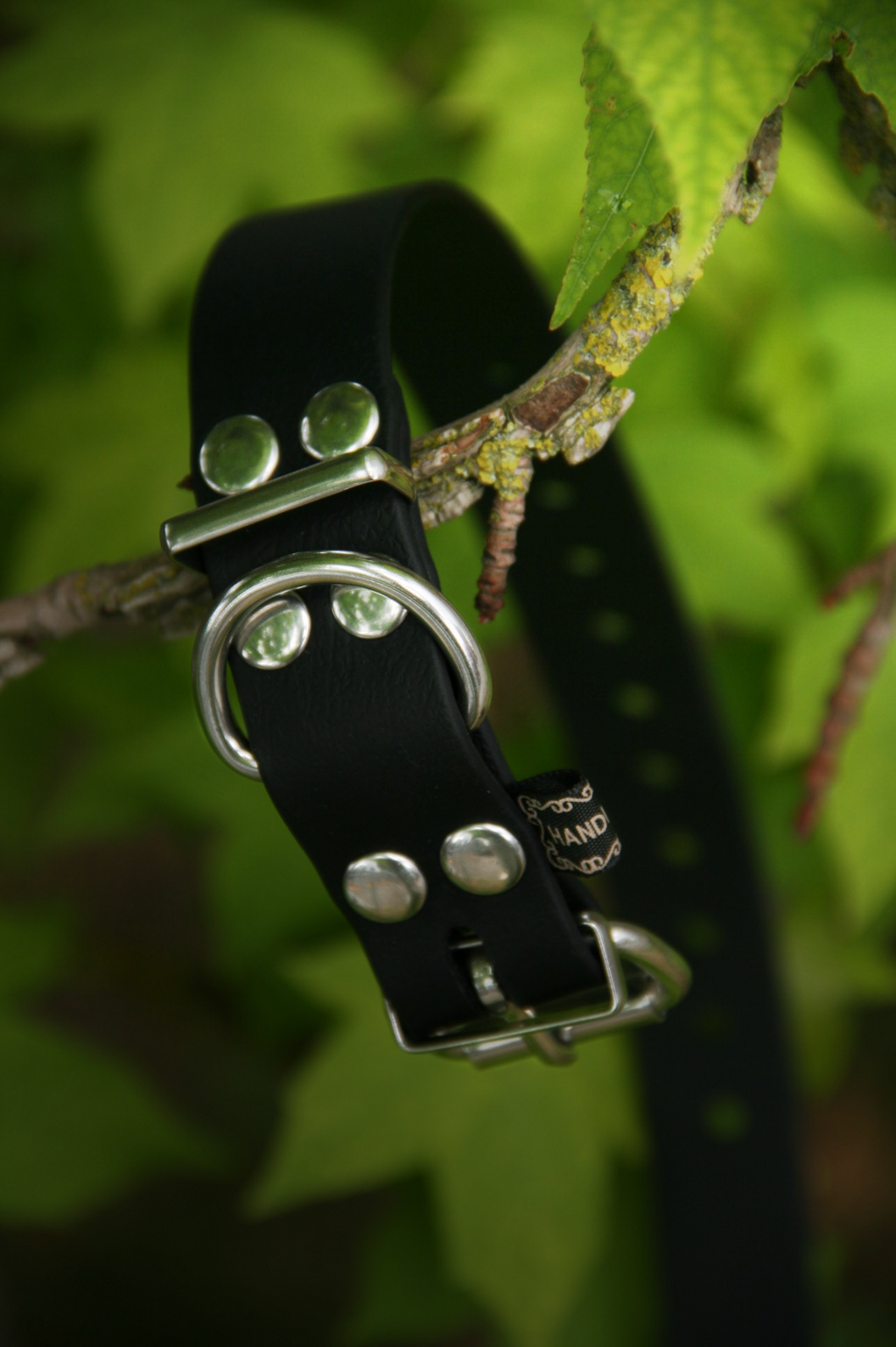 Collier BioThane® chiot