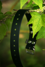 Collier BioThane® chiot