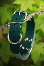 Collier à poignée BioThane®