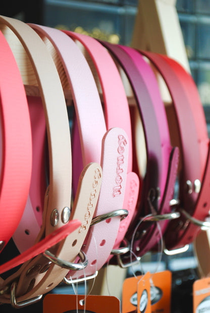 BioThane® Collar