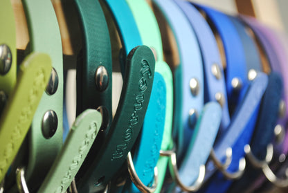 BioThane® Collar