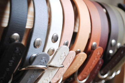 BioThane® Collar