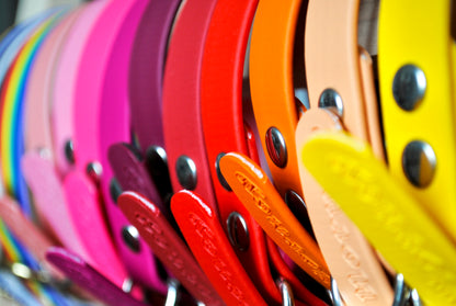 BioThane® Collar