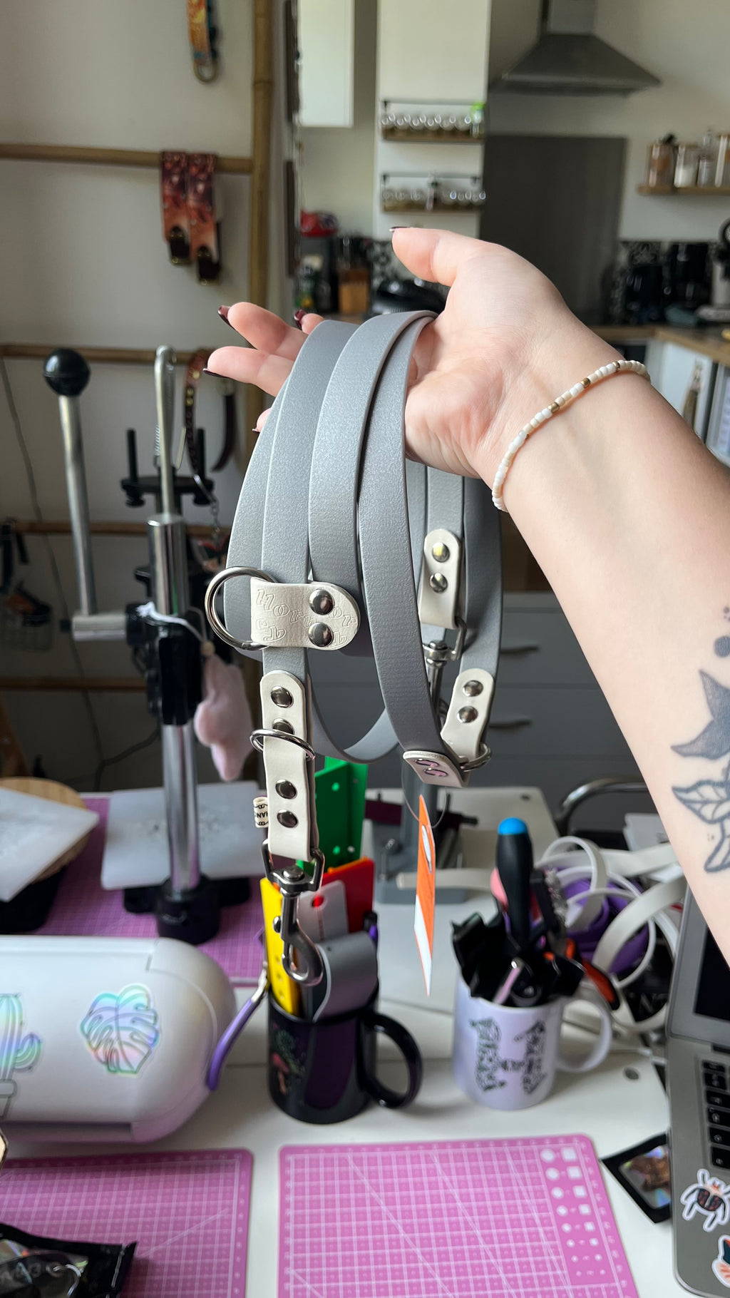 BioThane® Two-Tone Multi-Position Leash