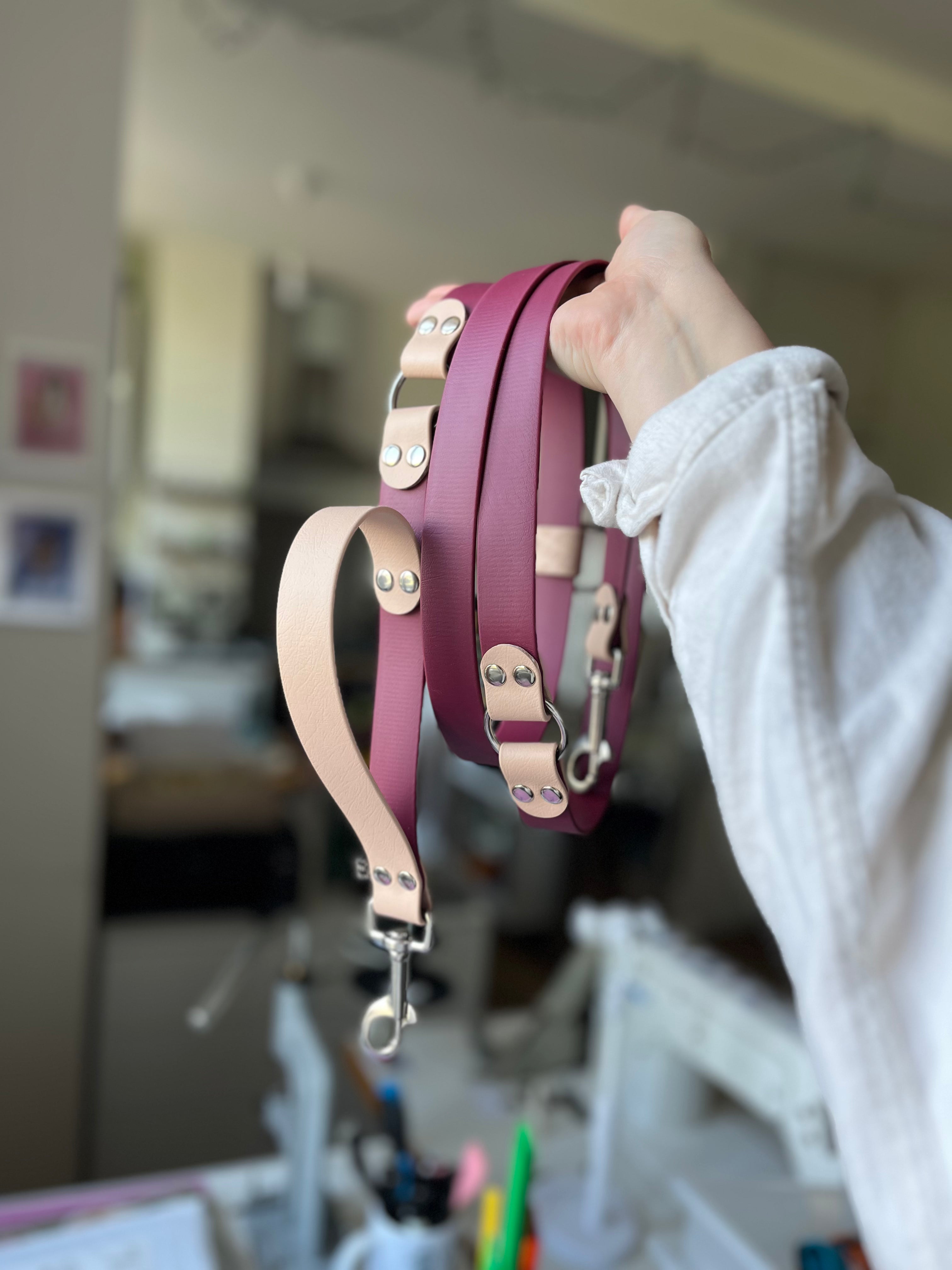 BioThane® Two-Tone Multi-Position Leash