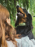 Pack Horney x Sticky Lily