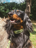 Pack Horney x Sticky Lily