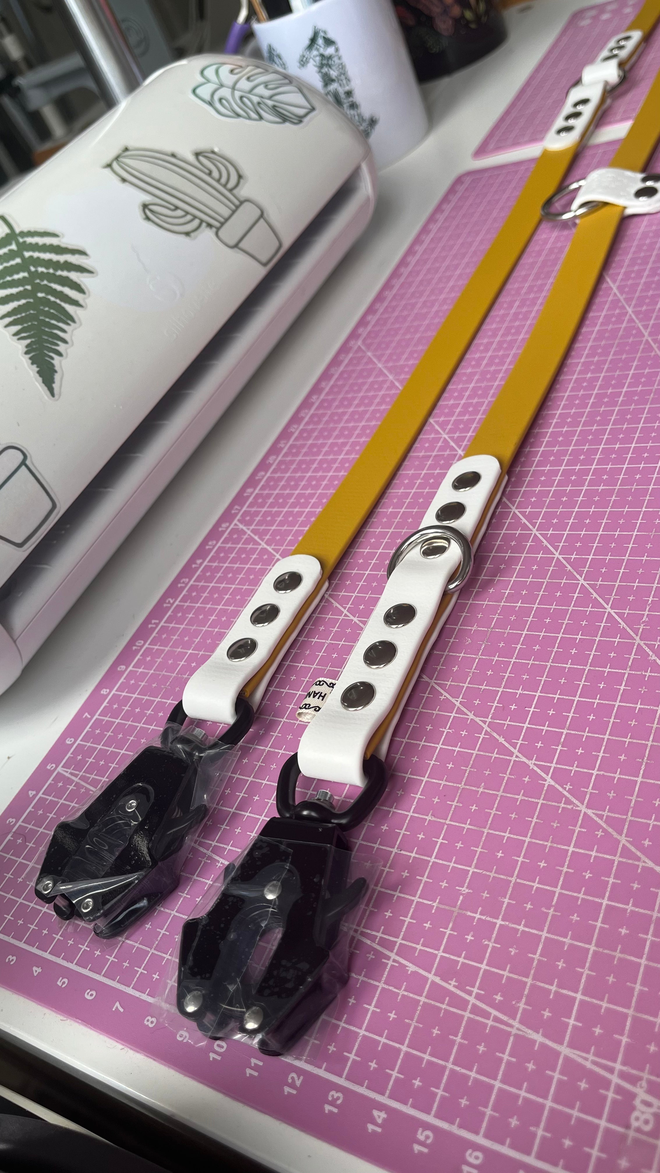 BioThane® Two-Tone Multi-Position Leash