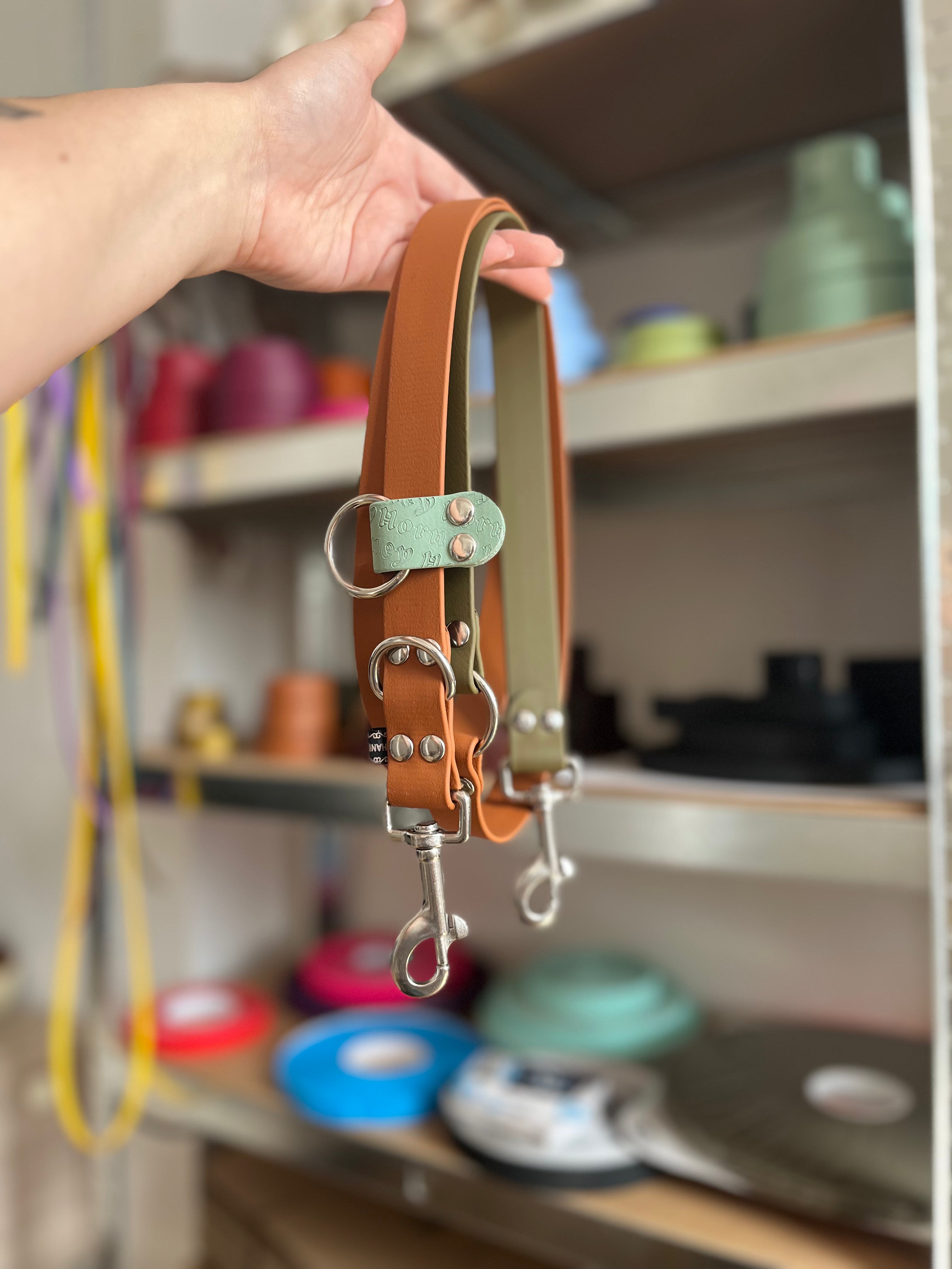 BioThane® Two-Tone Multi-Position Leash