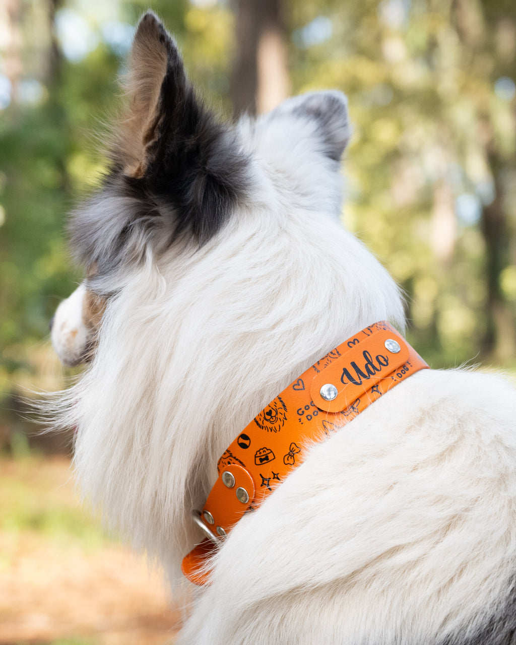 Pack Horney x Sticky Lily