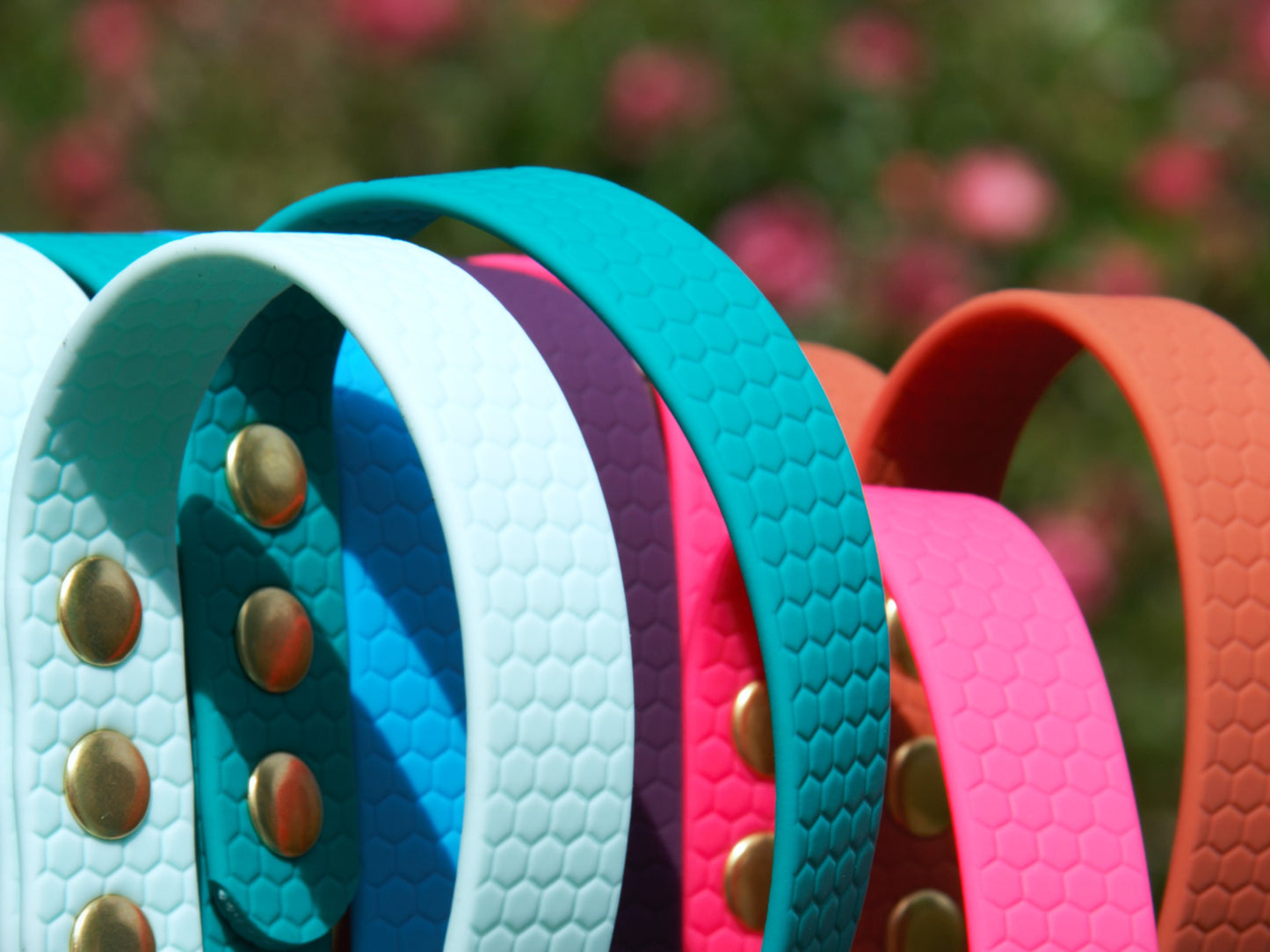 Leash Hexa
