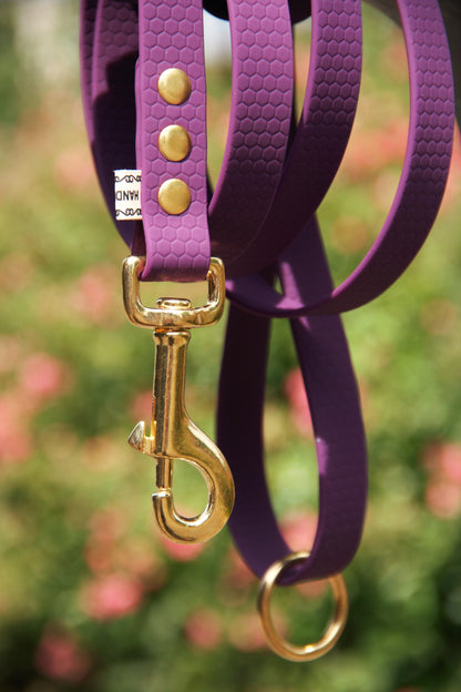 Leash Hexa