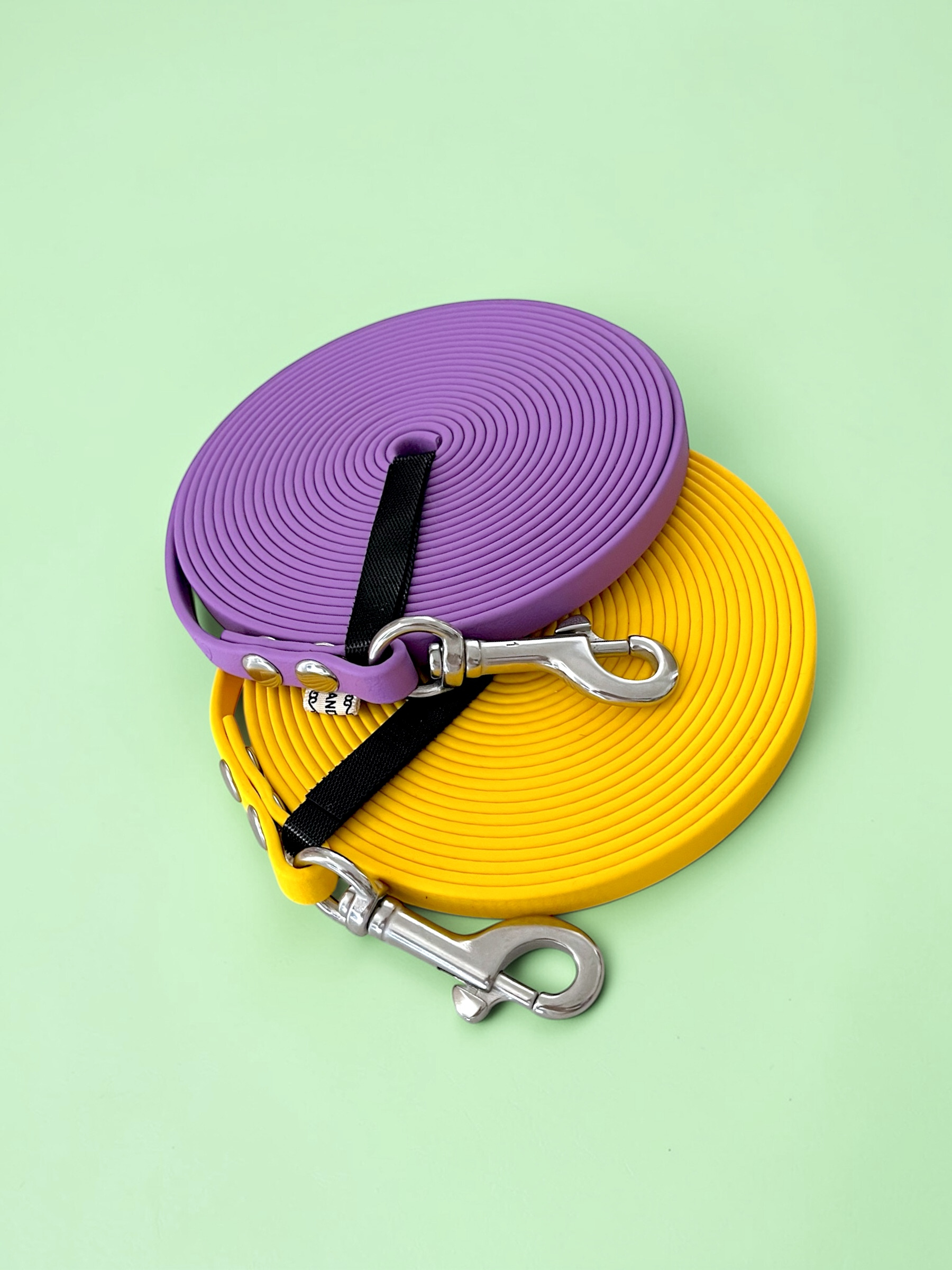 Ligne de confiance chiot