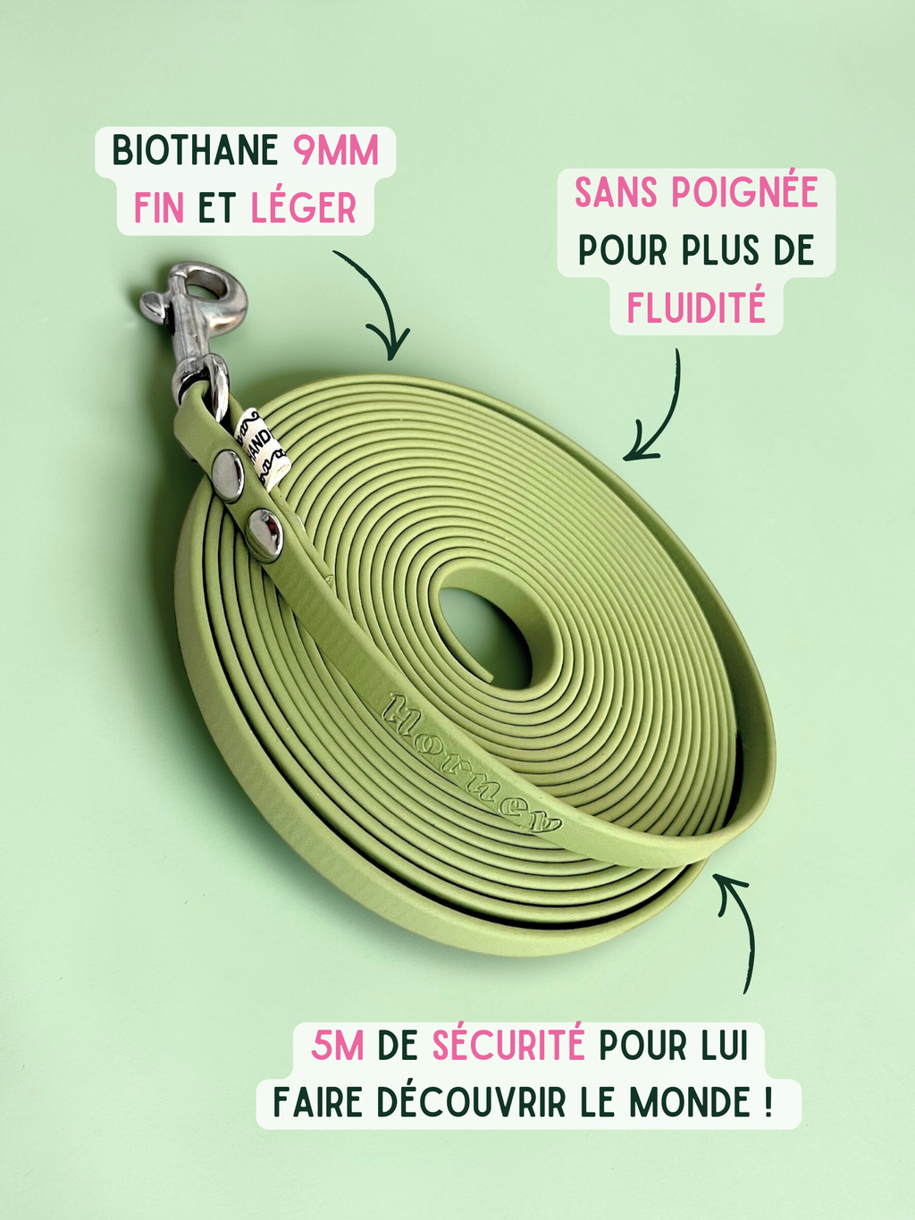 Ligne de confiance chiot