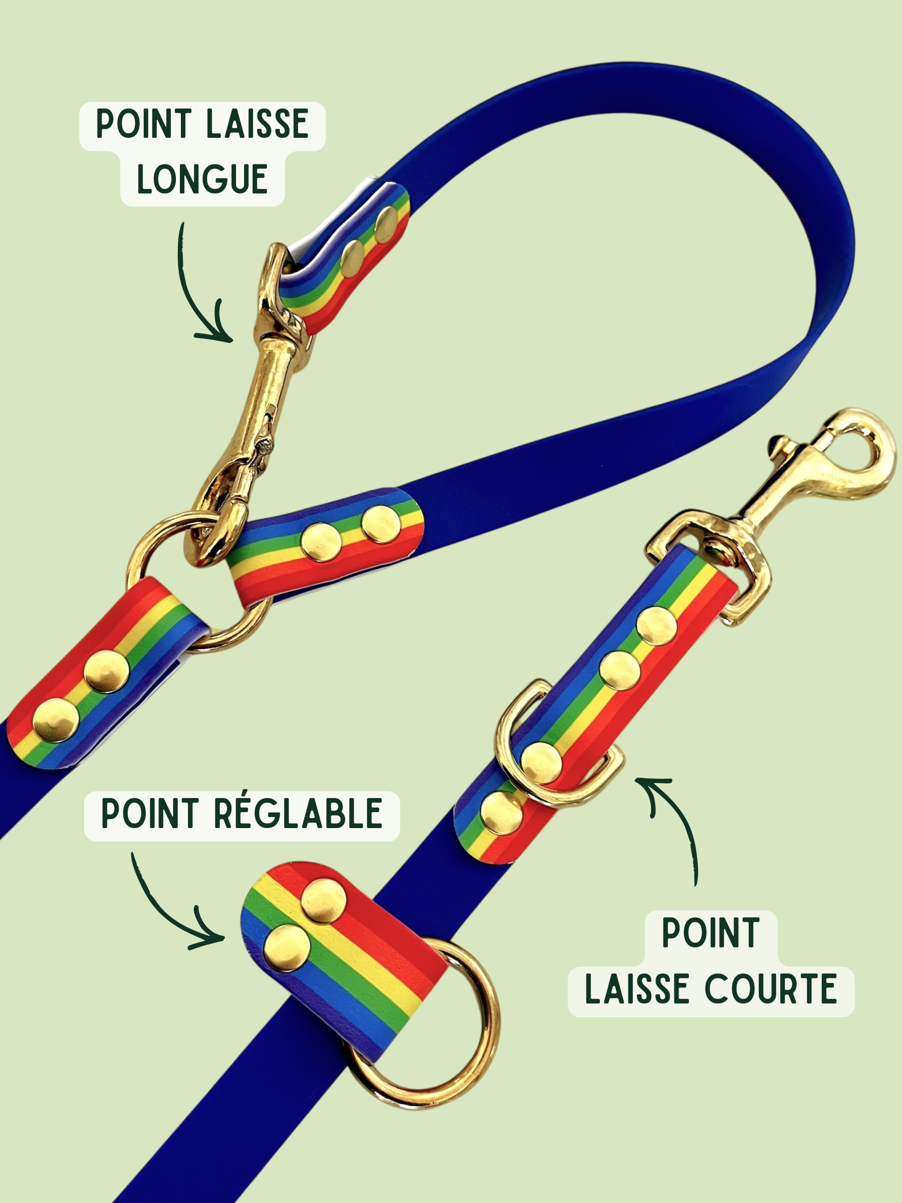 Laisse multi-position bicolore BioThane®