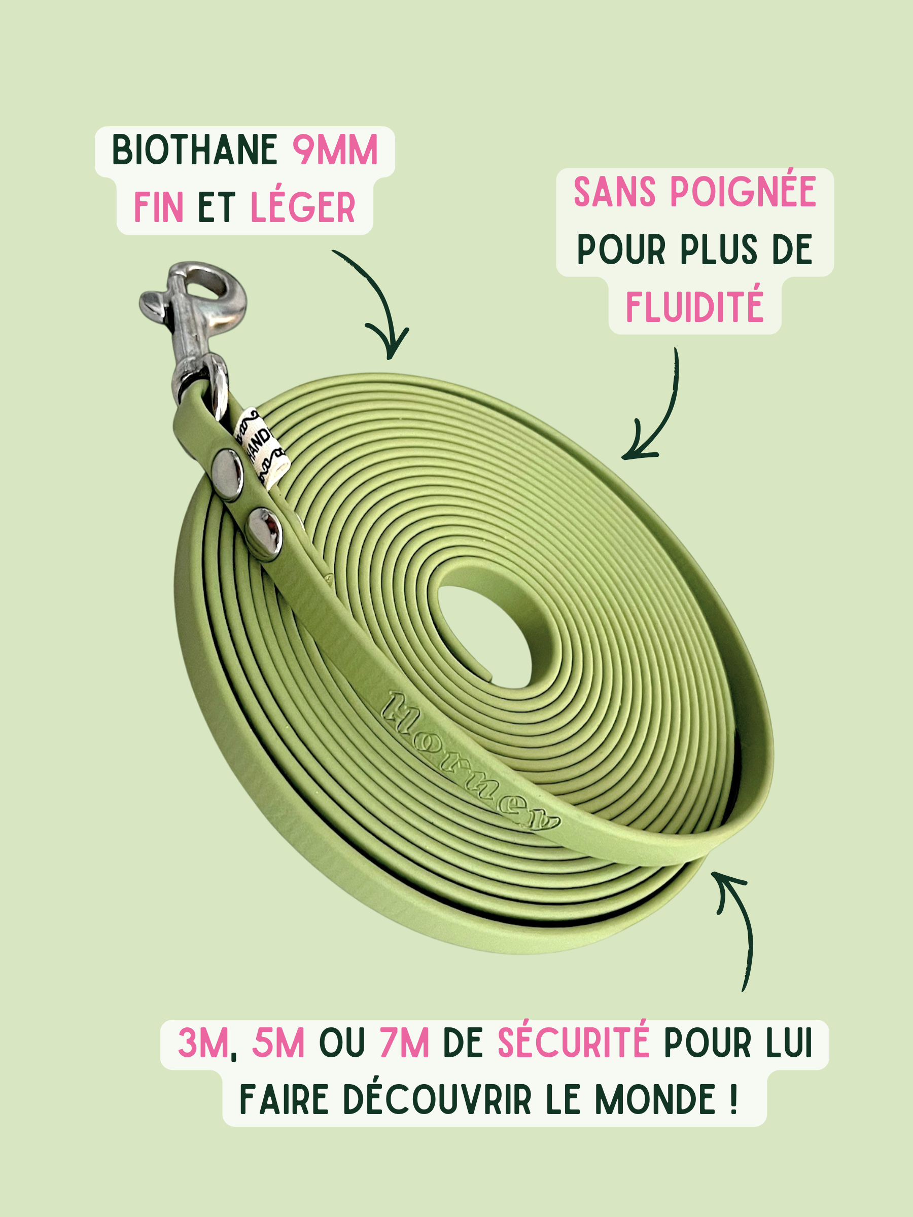 Ligne de confiance chiot