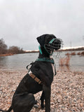 38MM Y-Harness