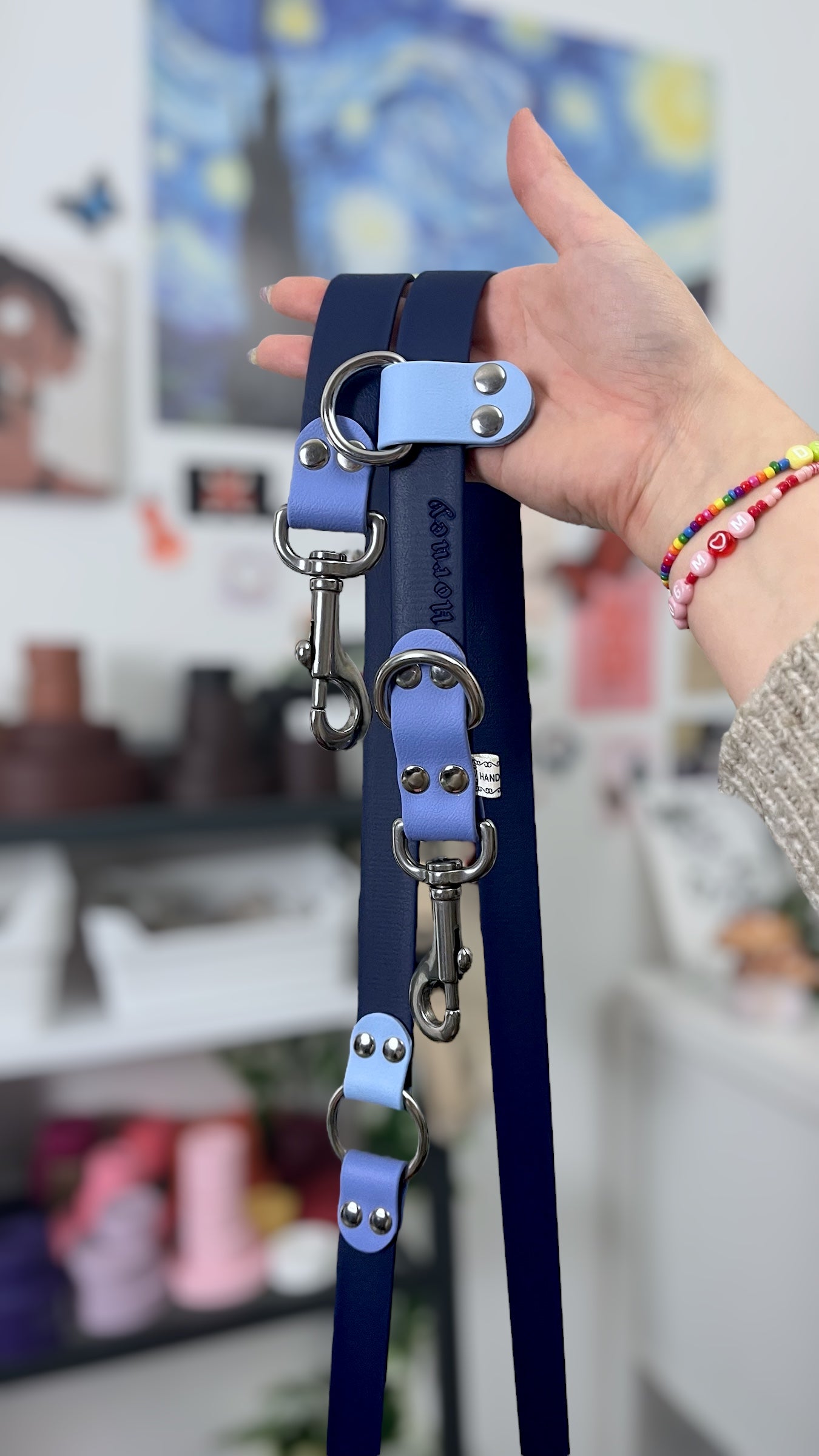 BioThane® Two-Tone Multi-Position Leash