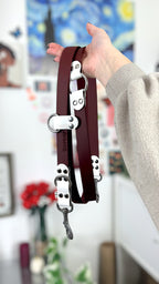 BioThane® Two-Tone Multi-Position Leash