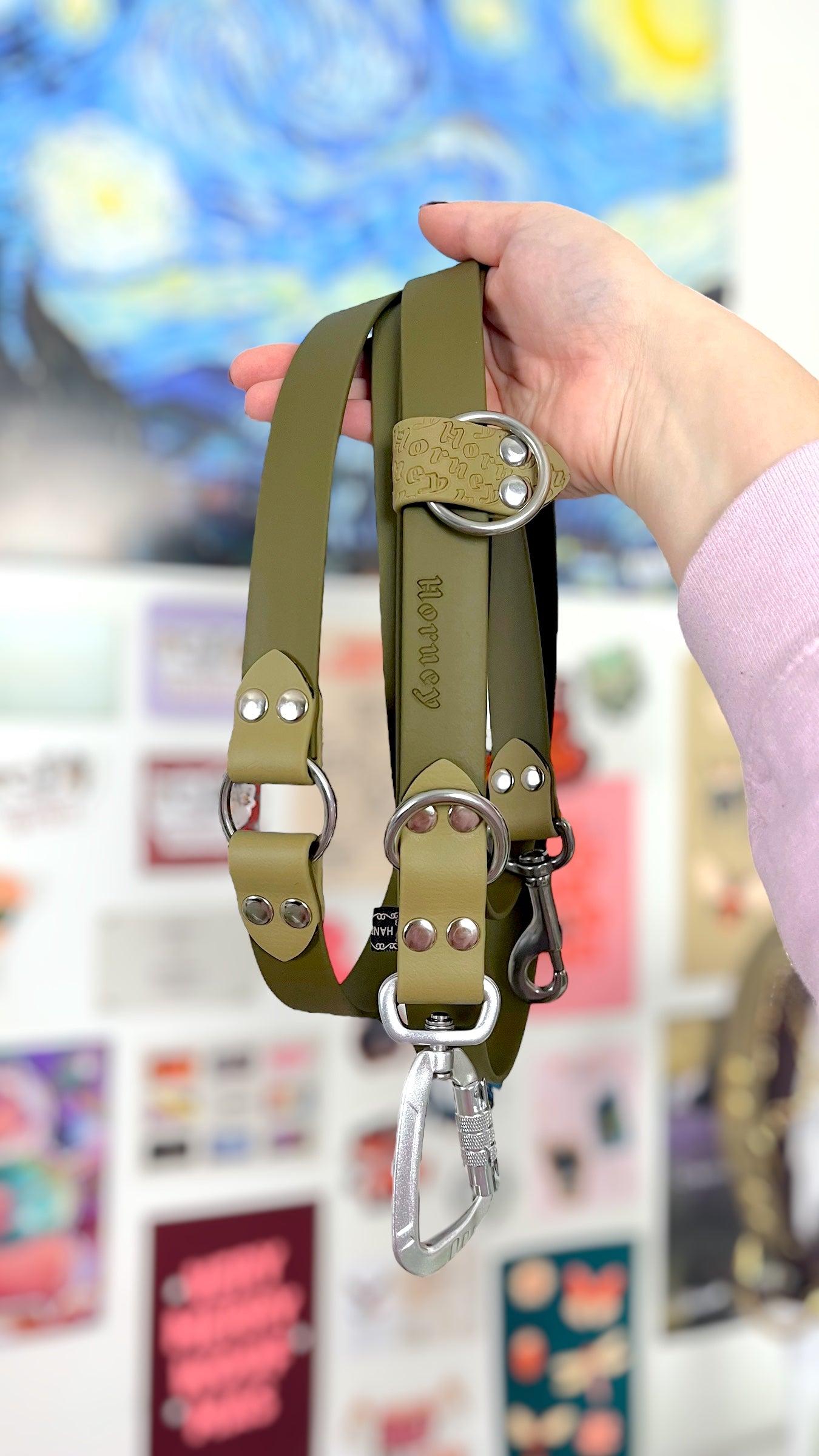 BioThane® Two-Tone Multi-Position Leash