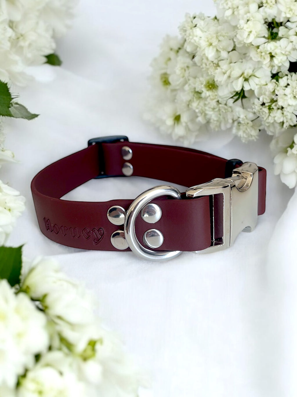 Collier à clips BioThane®