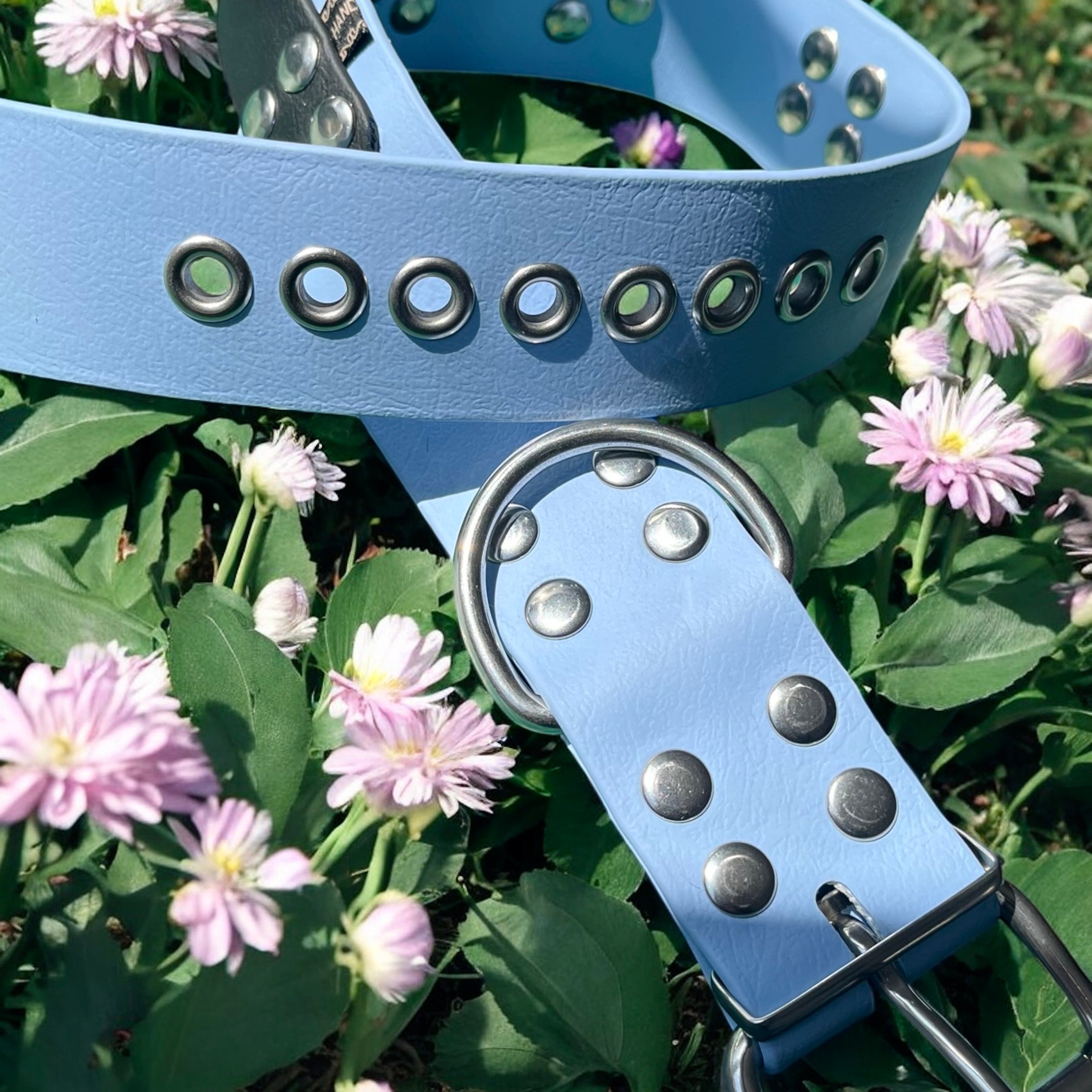 Collier à poignée BioThane®