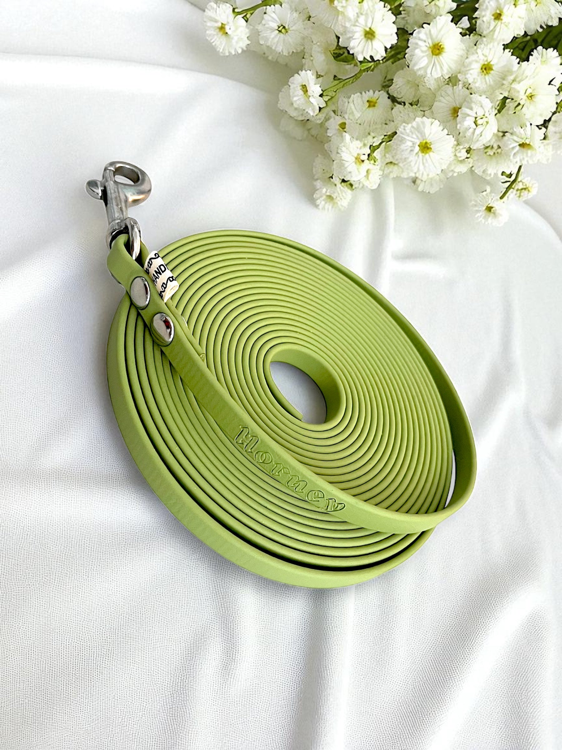 Ligne de confiance chiot