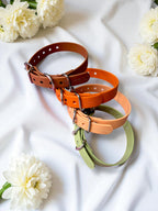 Collier BioThane® chiot